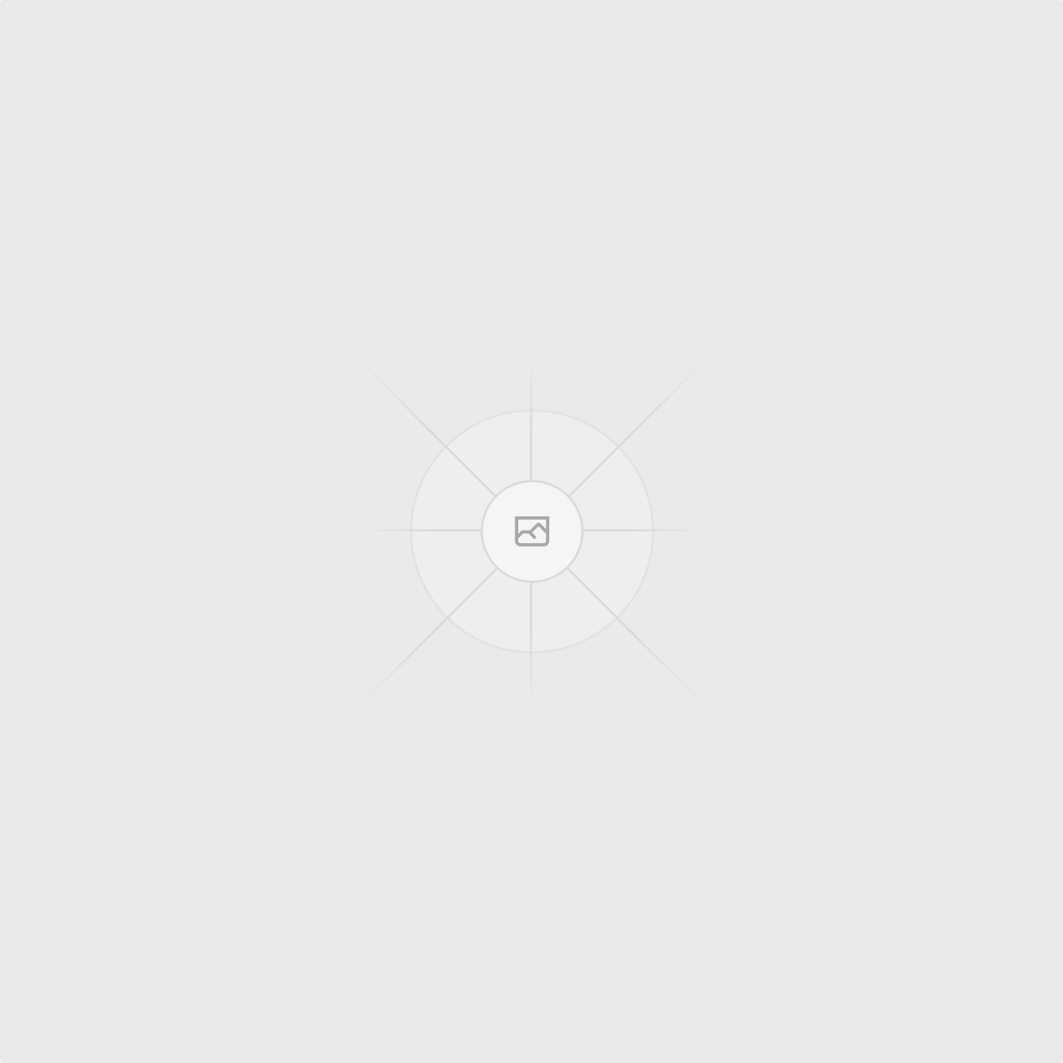 Empty image slot on a light gray background